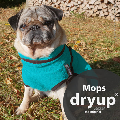 DRYUP CAPE Mops & Co – Hundebademantel für kompakte Hunderassen