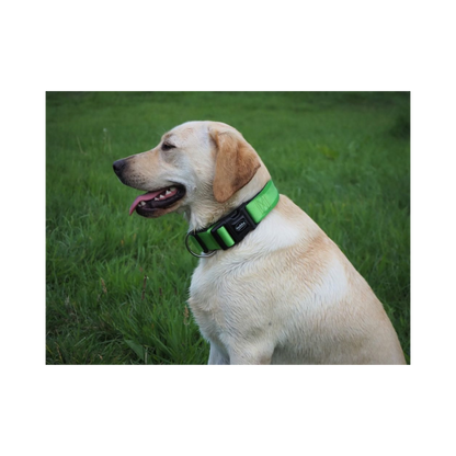 Halsband Classic Preno EXTRA – Komfort & Stabilität für große Hunde
