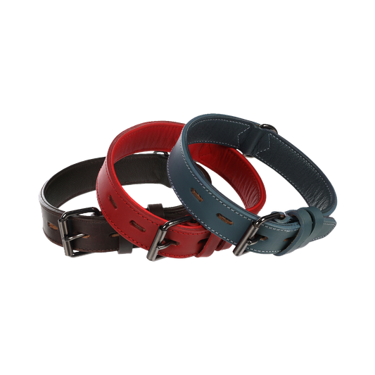 Halsband Denver – Extra Breit, Gepolstert & Stilvoll für maximalen Komfort