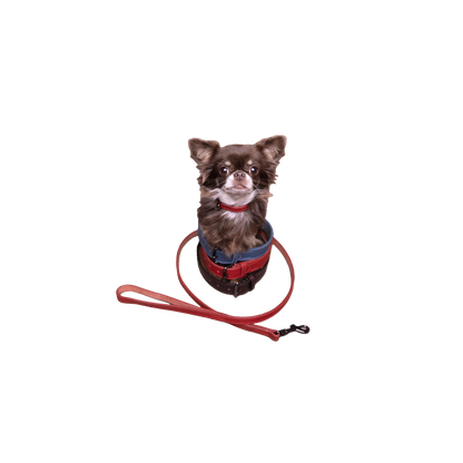 Halsband Denver – Robust, Stilvoll & Langlebig