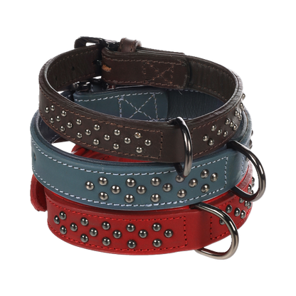 Halsband Denver – Robustes Design mit stylischen Nieten