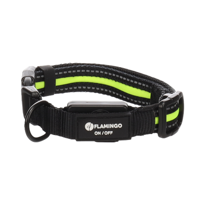 Halsband Flitzy – Für maximale Sichtbarkeit und Sicherheit bei Nacht!