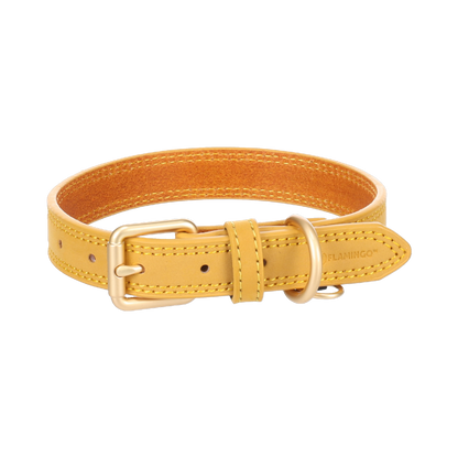 Halsband Virginia – Stil trifft auf Qualität