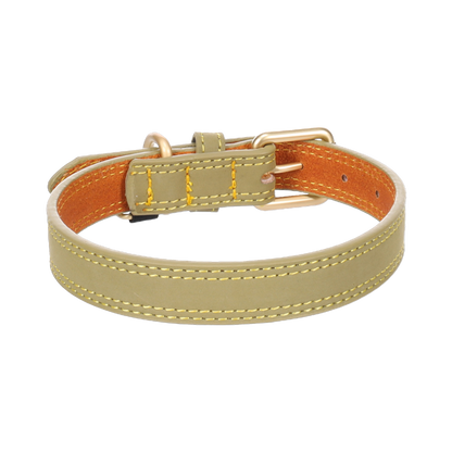 Halsband Virginia – Stil trifft auf Qualität