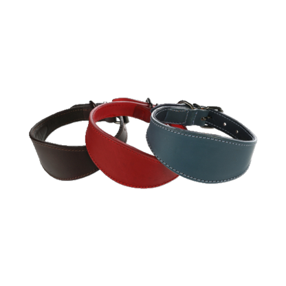 Halsband Windhund Denver – Eleganz & Komfort für schlanke Hälse