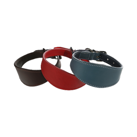 Halsband Windhund Denver – Eleganz & Komfort für schlanke Hälse