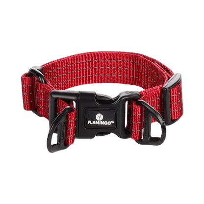 Halsband Zorba – Stilvolles Design & hoher Tragekomfort für deinen Hund