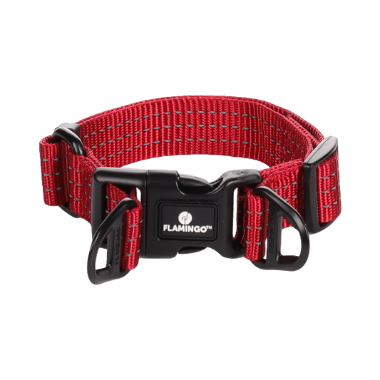 Halsband Zorba – Stilvolles Design & hoher Tragekomfort für deinen Hund