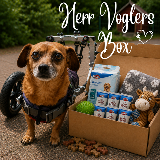 Herr Voglers Box