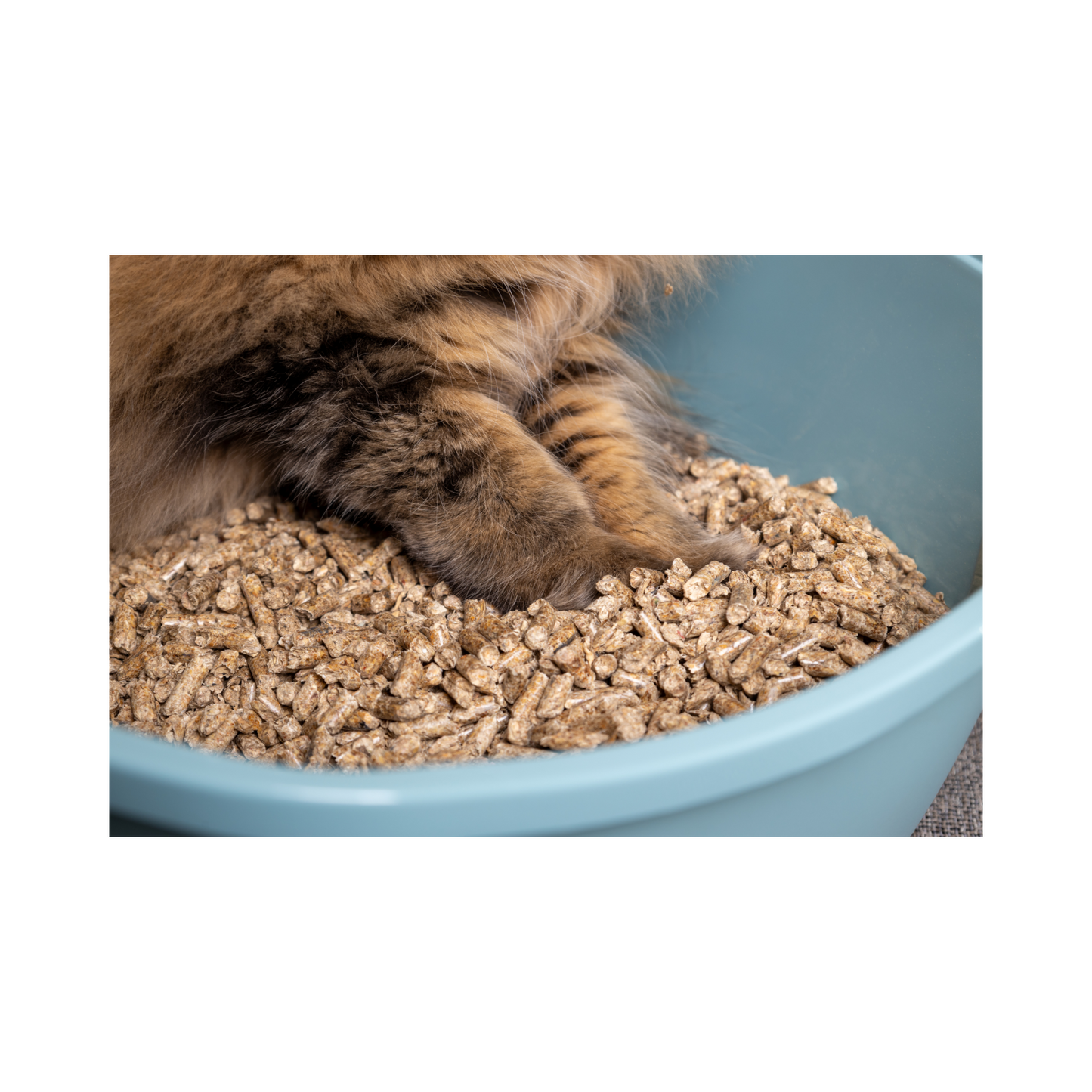 Holzpellets Braun – Nachhaltige Einstreu für Katzentoiletten