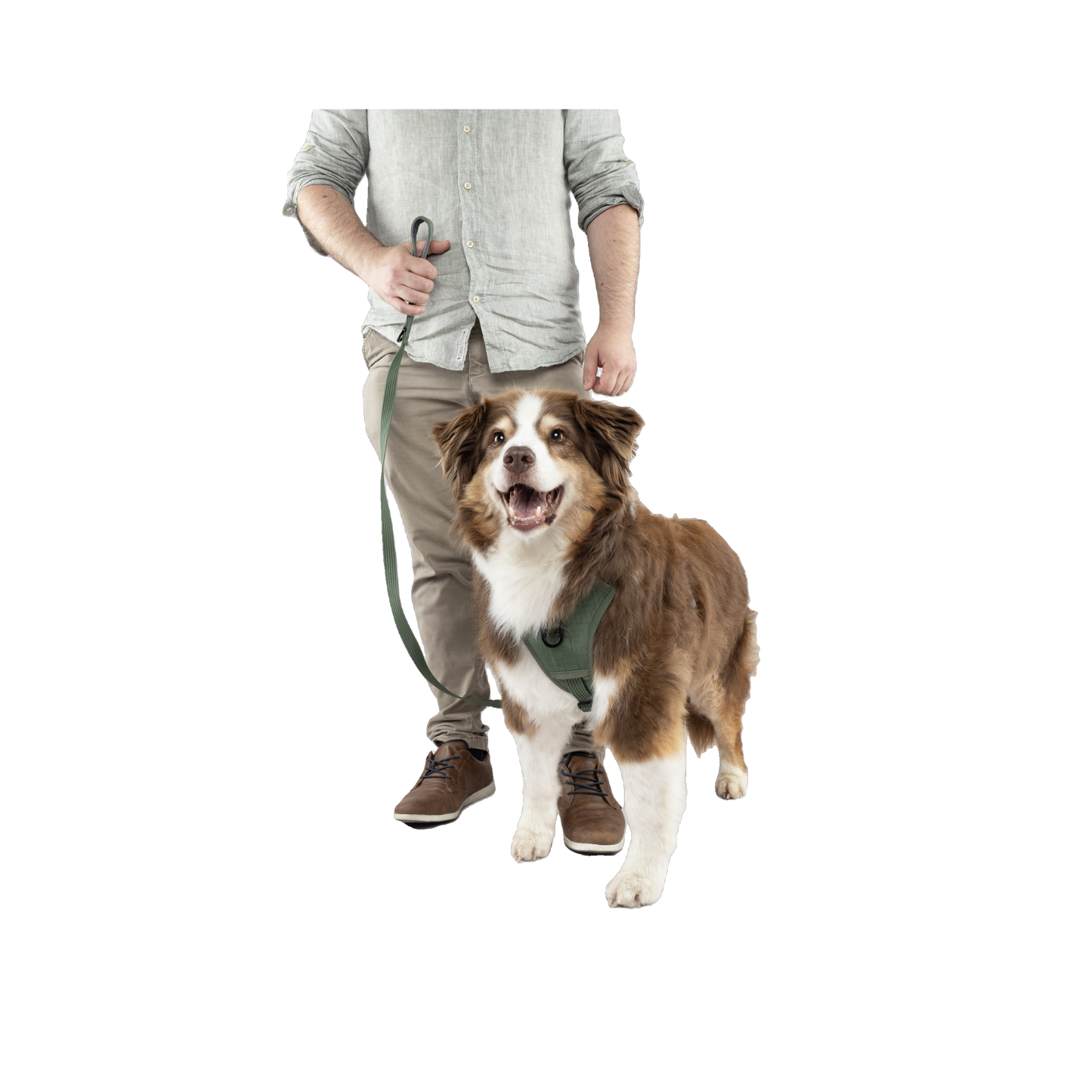 Hunde-Leine Cami Grün – Stilvoll unterwegs