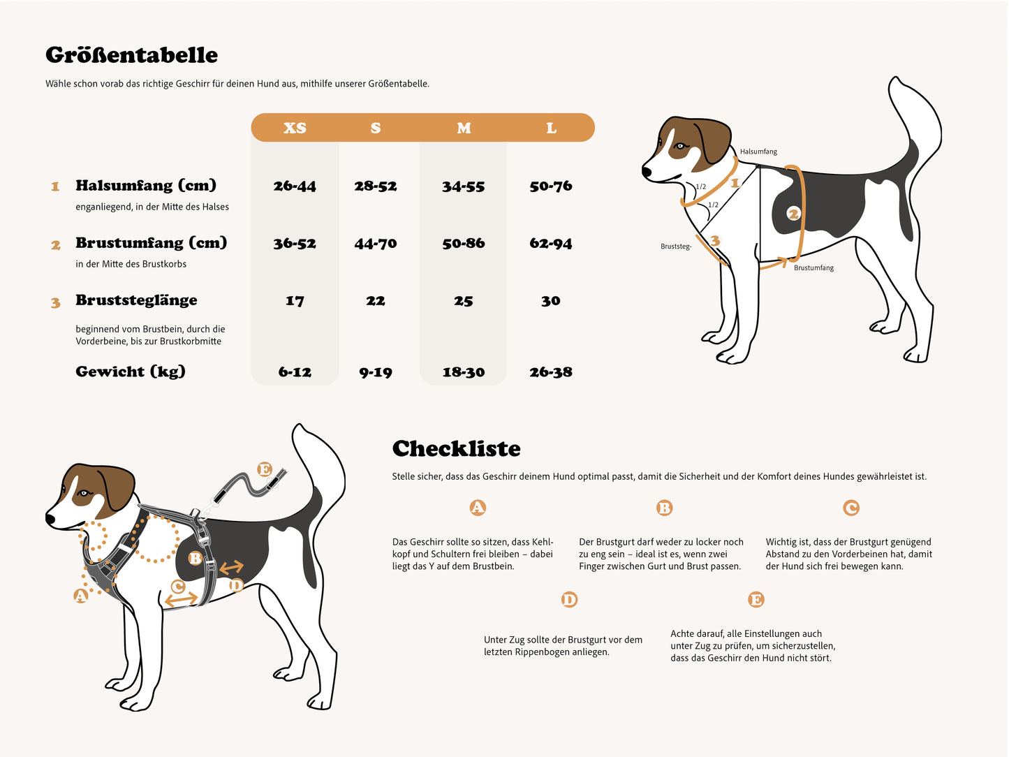 Redoggo Geschirr – Ergonomisch, sicher & nachhaltig