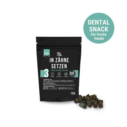 In Zähne setzen – funktionaler Snack für Hunde