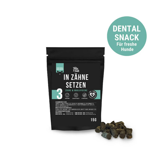 In Zähne setzen – funktionaler Snack für Hunde