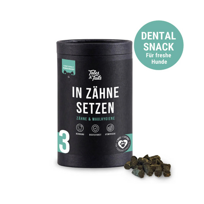 In Zähne setzen – funktionaler Snack für Hunde