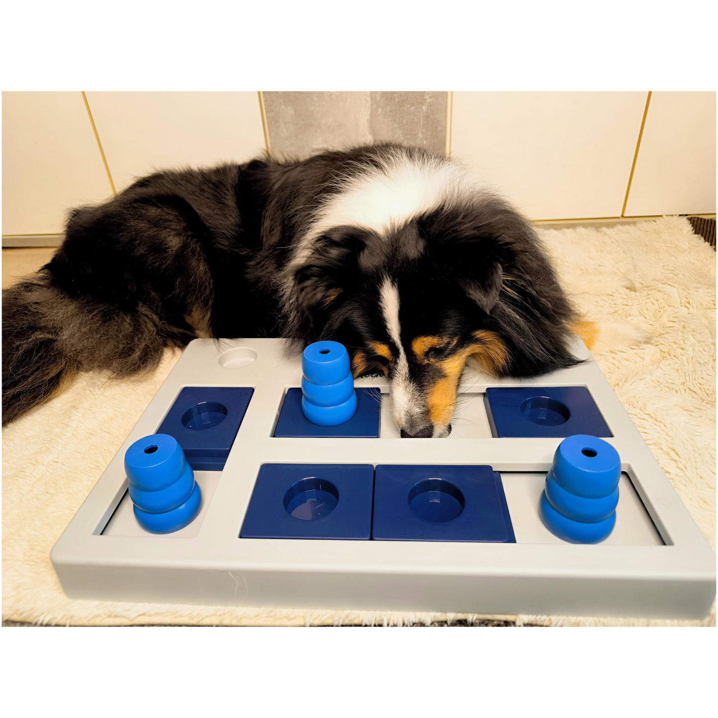 Intelligenzspielzeug Chess – Für clevere Hunde mit Spielfreude