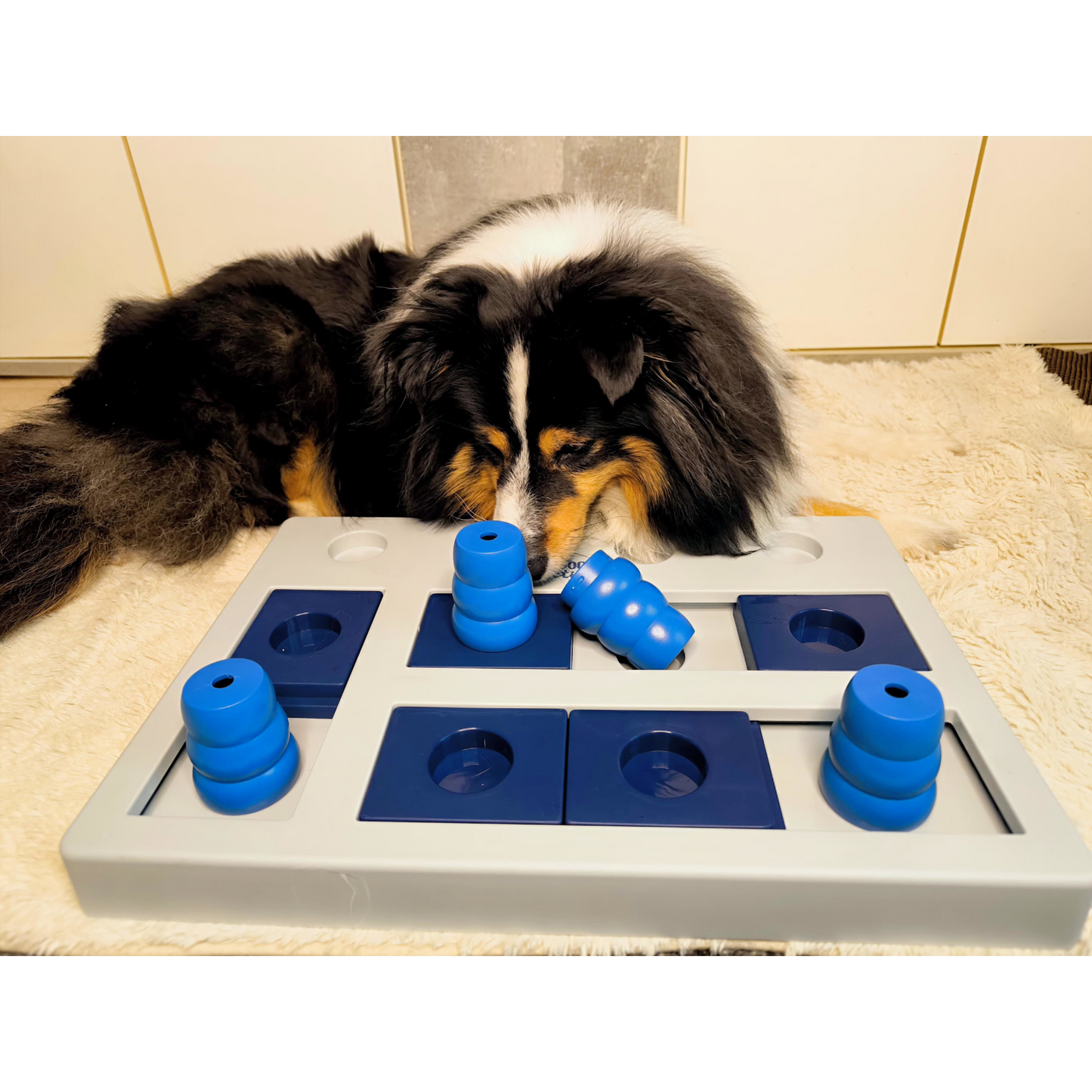 Intelligenzspielzeug Chess – Für clevere Hunde mit Spielfreude