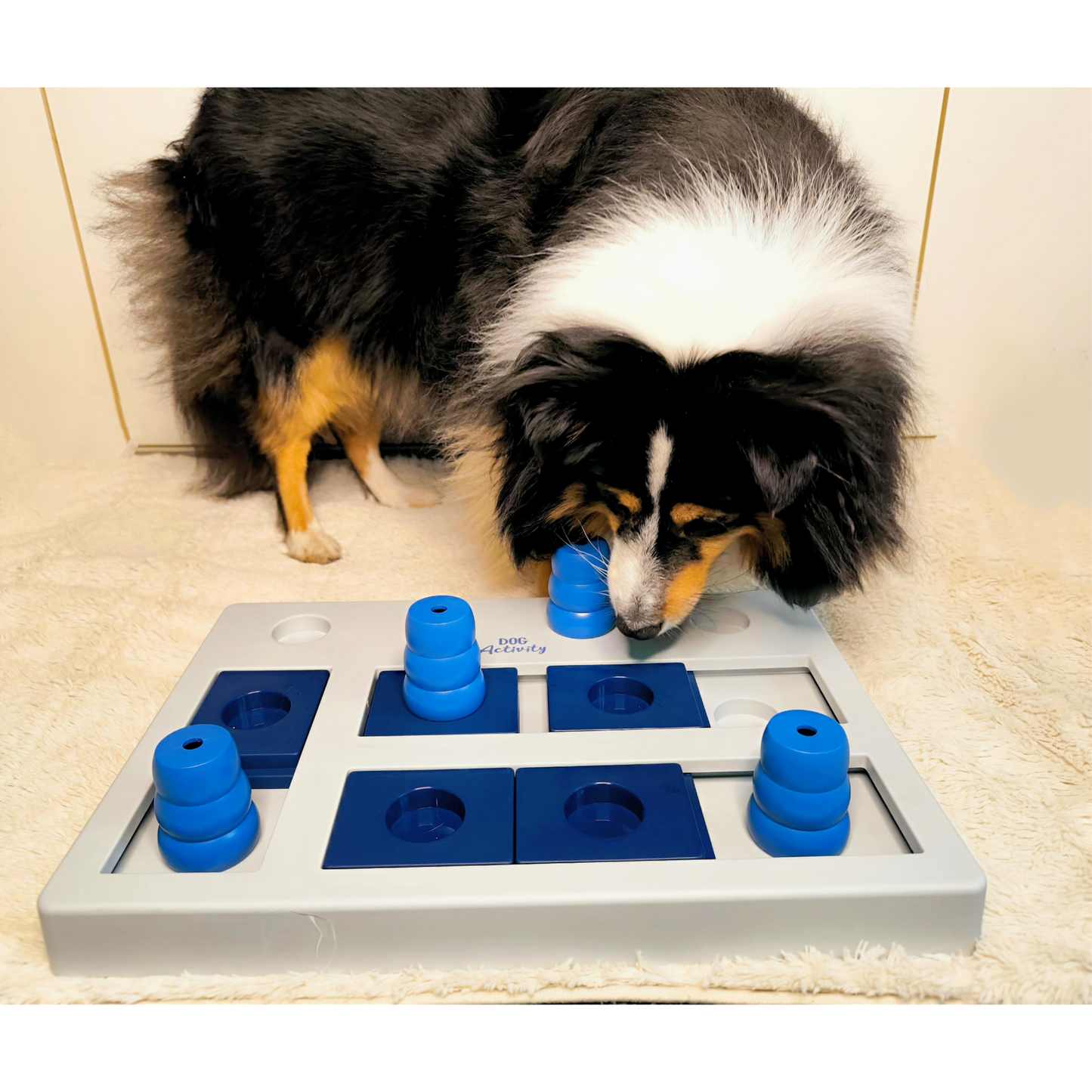 Intelligenzspielzeug Chess – Für clevere Hunde mit Spielfreude