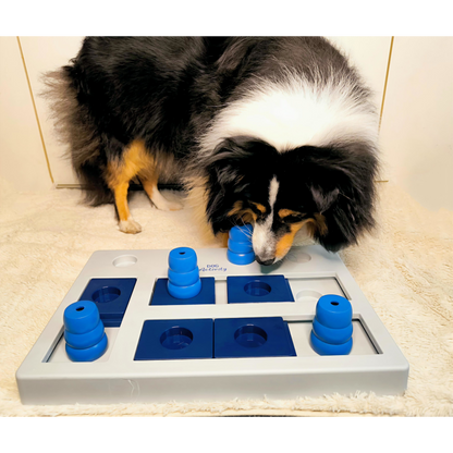 Intelligenzspielzeug Chess – Für clevere Hunde mit Spielfreude