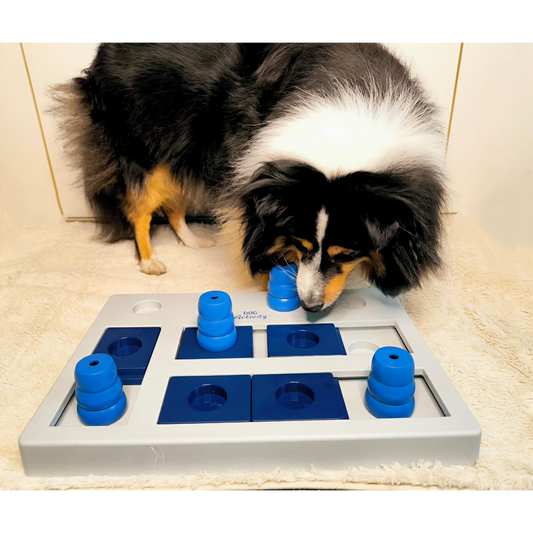 Intelligenzspielzeug Chess – Für clevere Hunde mit Spielfreude
