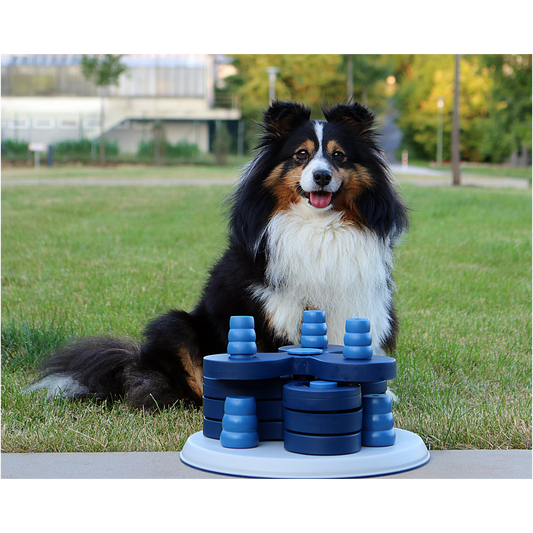 Intelligenzspielzeug Level 3 – Spielturm für fortgeschrittene Spürnasen