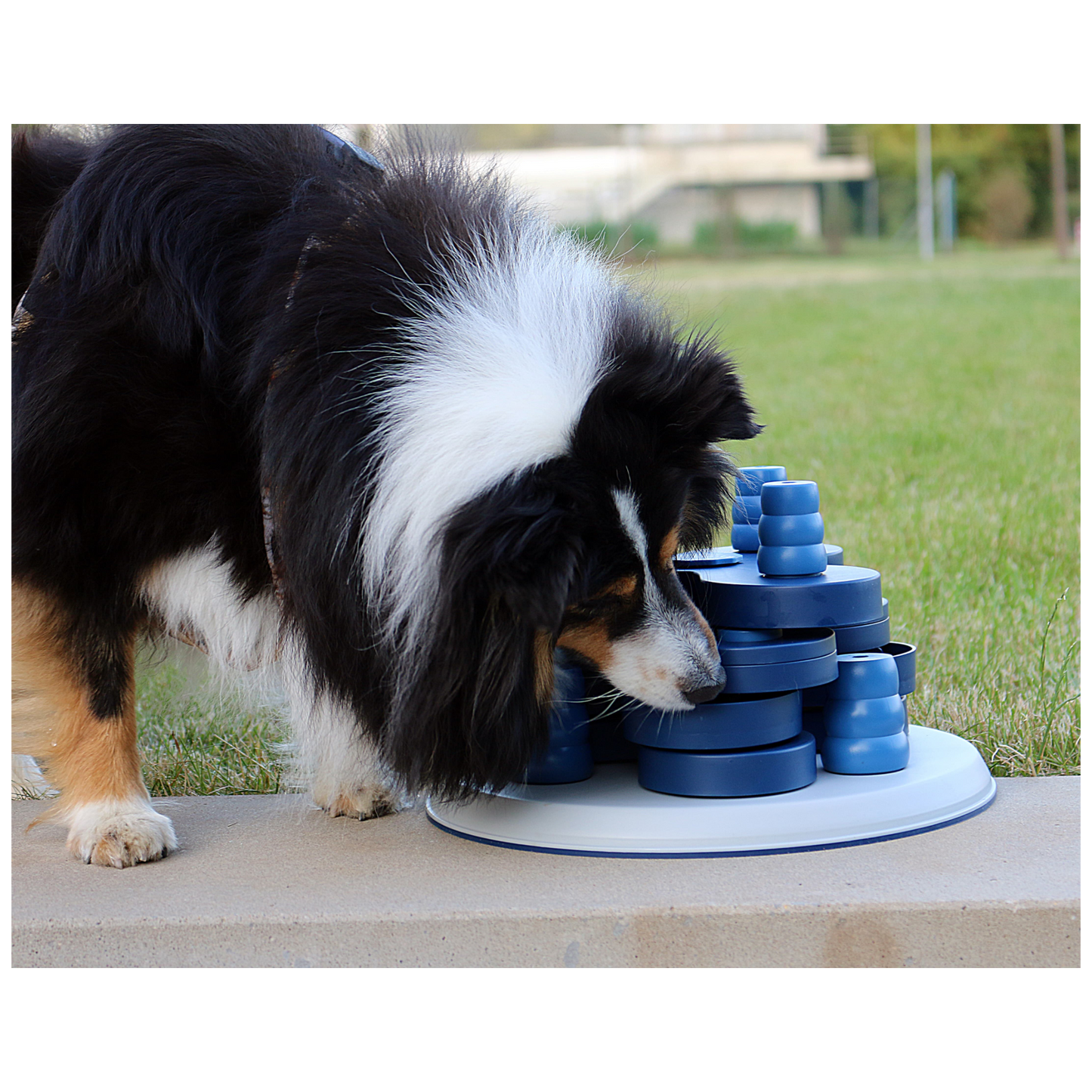 Intelligenzspielzeug Level 3 – Spielturm für fortgeschrittene Spürnasen