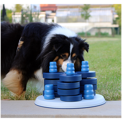 Intelligenzspielzeug Level 3 – Spielturm für fortgeschrittene Spürnasen