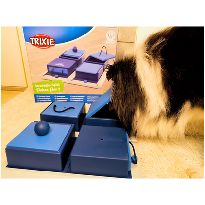 Intelligenzspielzeug Poker Box - Level 1 – Denkspaß mit System