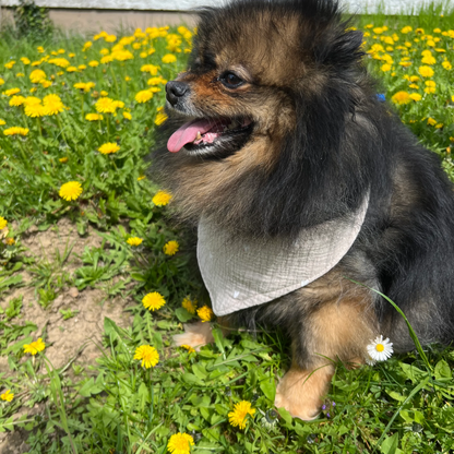 JM Petplace Hundehalstuch - Herzen