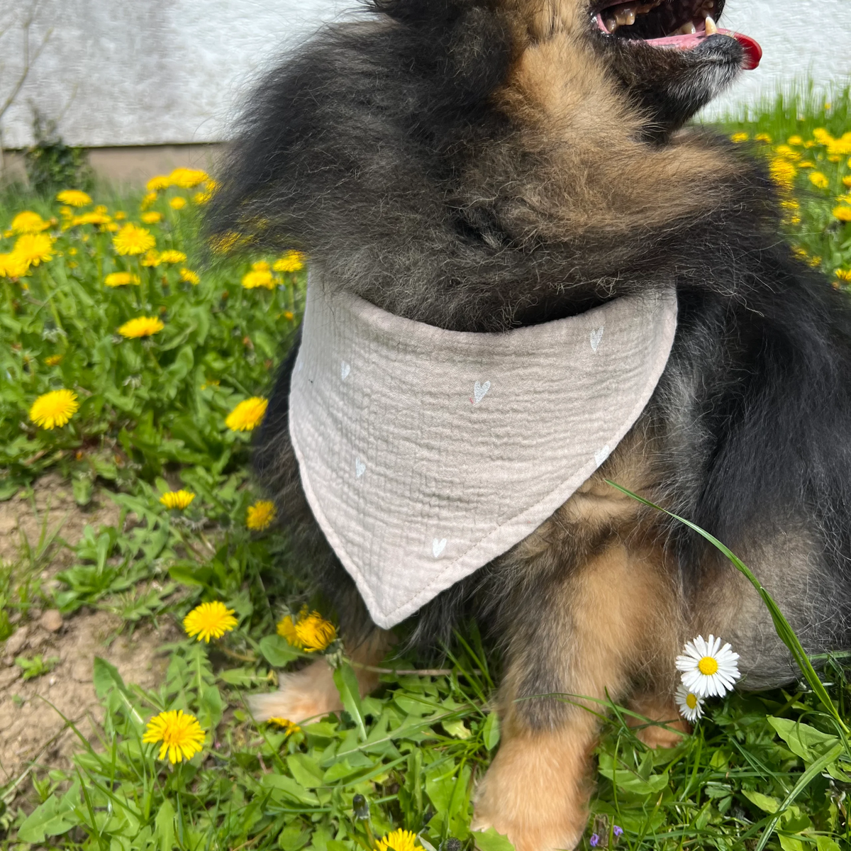 JM Petplace Hundehalstuch - Herzen