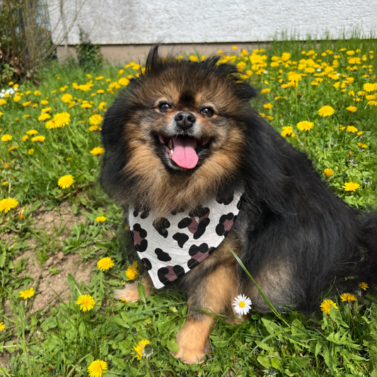 JM Petplace Hundehalstuch - Leopard