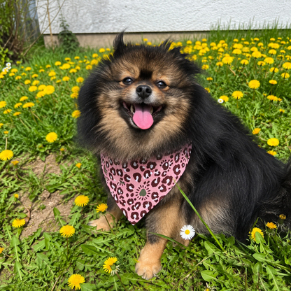 JM Petplace Hundehalstuch - Rosa Leoprint