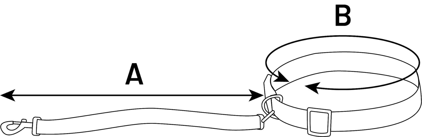 Joggingleine mit Hüftgurt Janko – Perfekt für aktive Spaziergänge & sportliche Abenteuer!