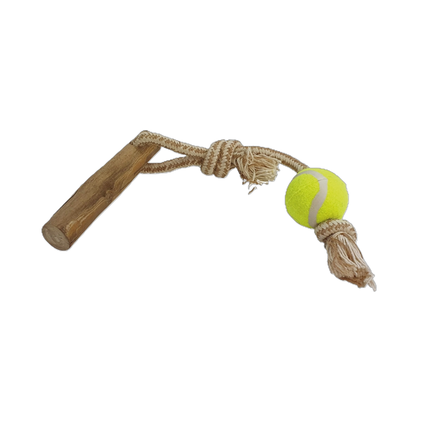 Kaffeeholz mit Baumwollseil & Ball – das natürliche, splitterarme Kauspielzeug zur Zahnpflege