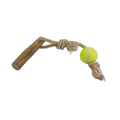Kaffeeholz mit Baumwollseil & Ball – das natürliche, splitterarme Kauspielzeug zur Zahnpflege