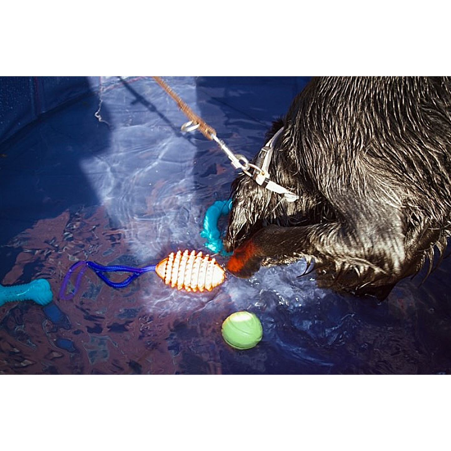 Karlie BOOMER AQUA Football – schwimmfähiger Vollgummi-Ball mit Wurfkordel