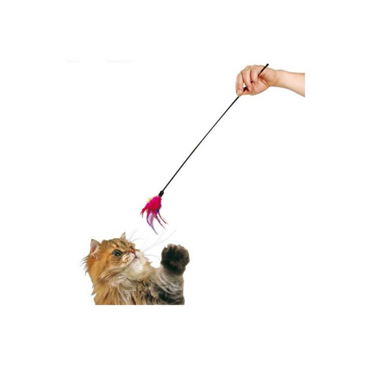 Karlie Federwedel – Spielspaß, der jede Katze in Jagdstimmung bringt