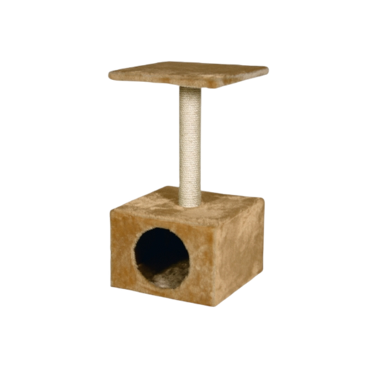 Karlie Kratzbaum Amethyst