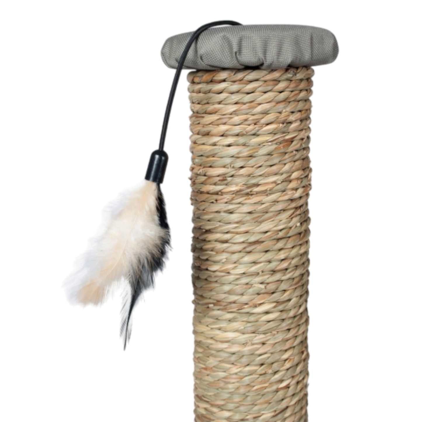 Karlie Kratzsäule Rofra