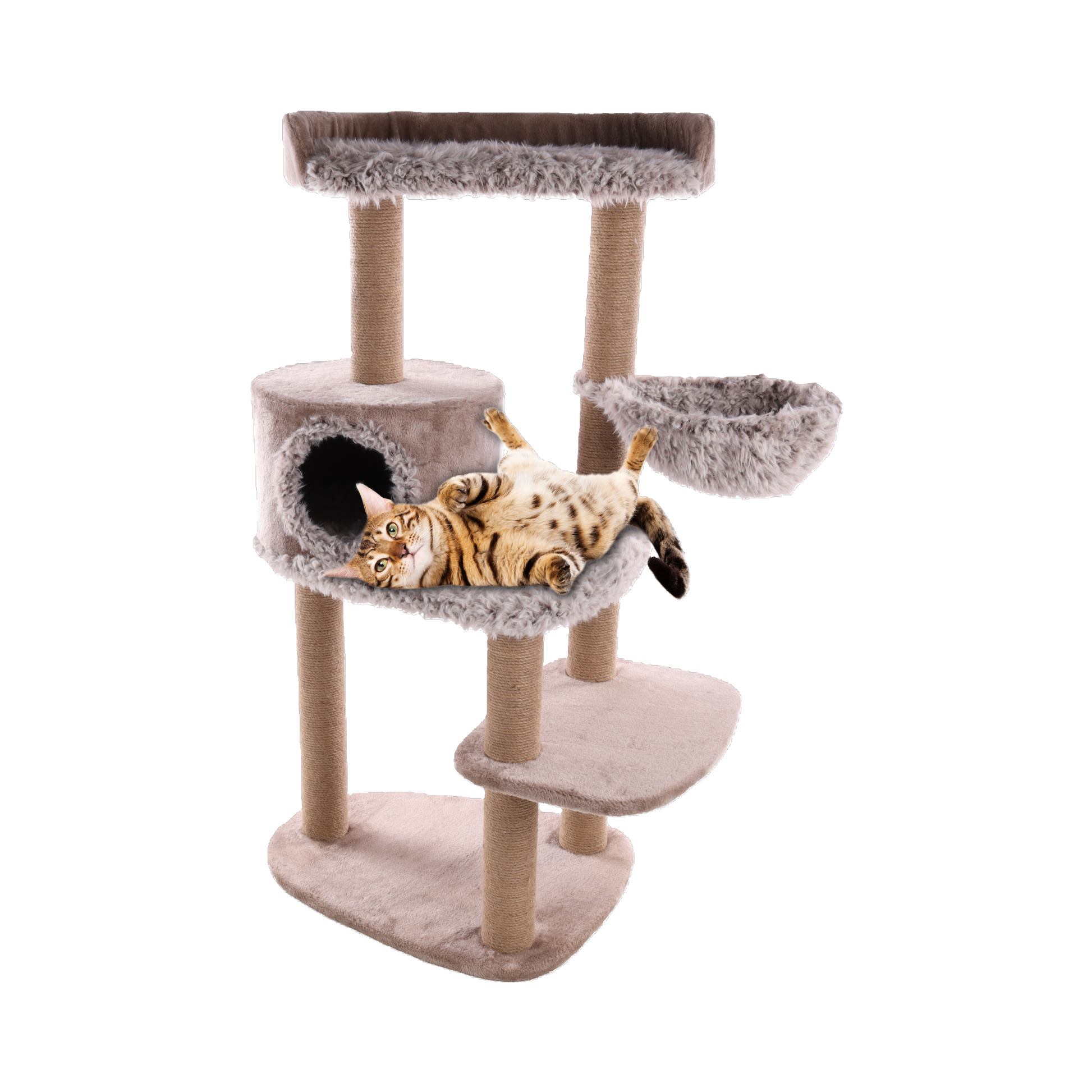 hängematte katze outdoor Katzen-Kratzbaum Oliver mit Hängematte & Versteck – Komfort & Kratzspa – Dein Fellnasen Shop
