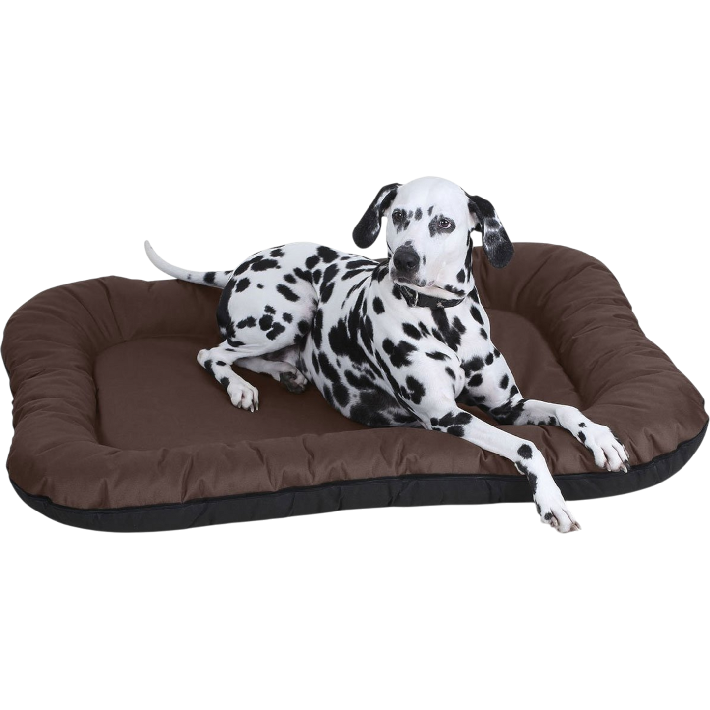 Knuffelwuff - In- & Outdoor Hundematte Lucky