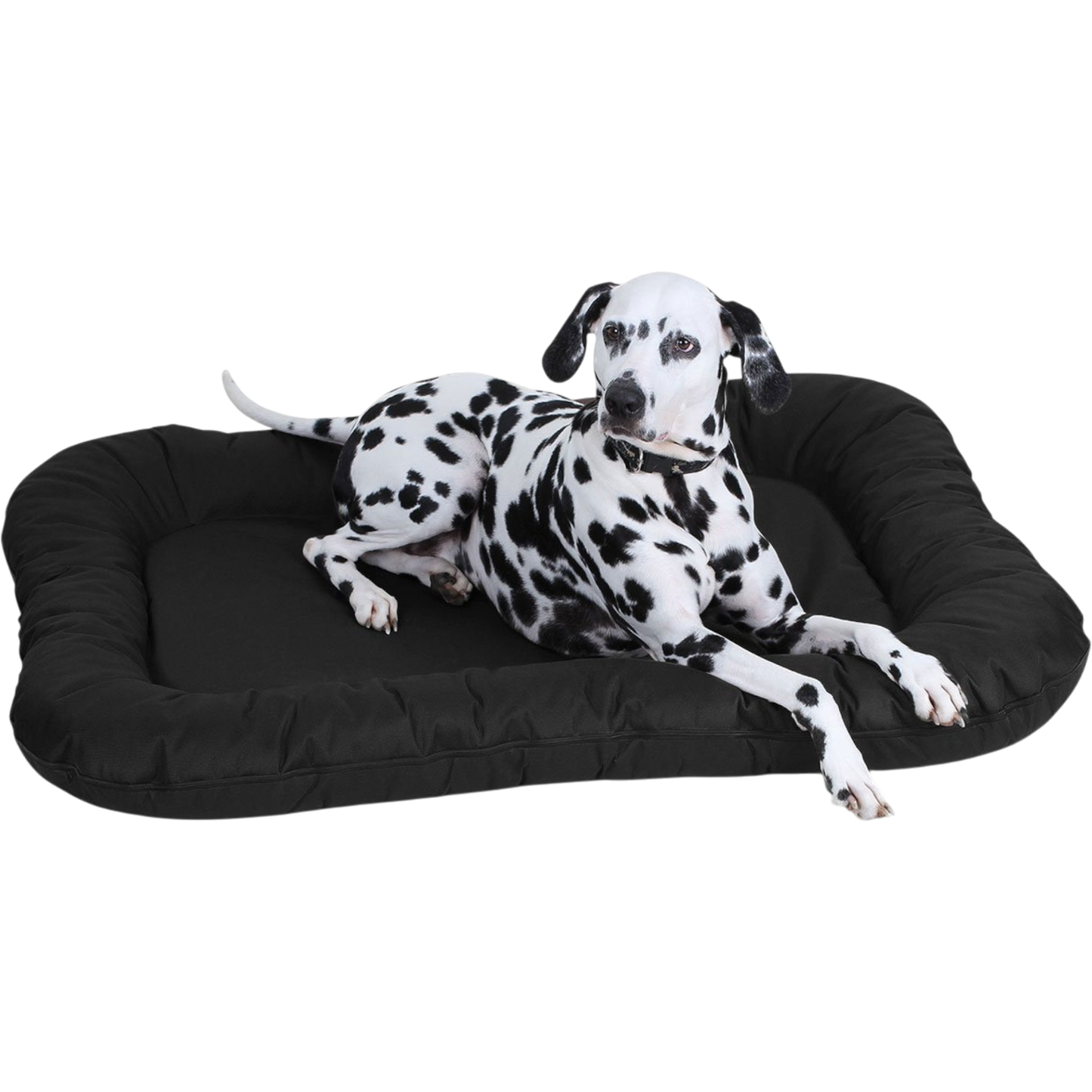 Knuffelwuff - In- & Outdoor Hundematte Lucky