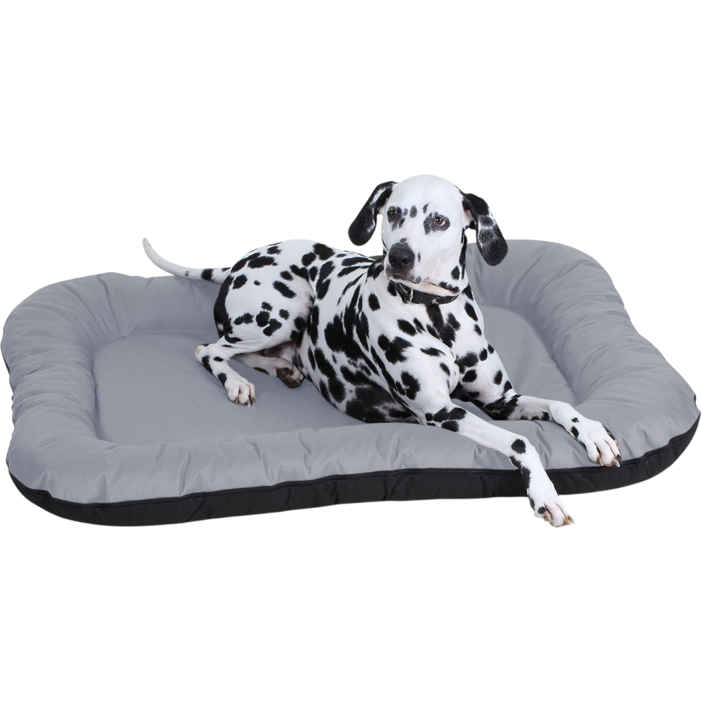 Knuffelwuff - In- & Outdoor Hundematte Lucky