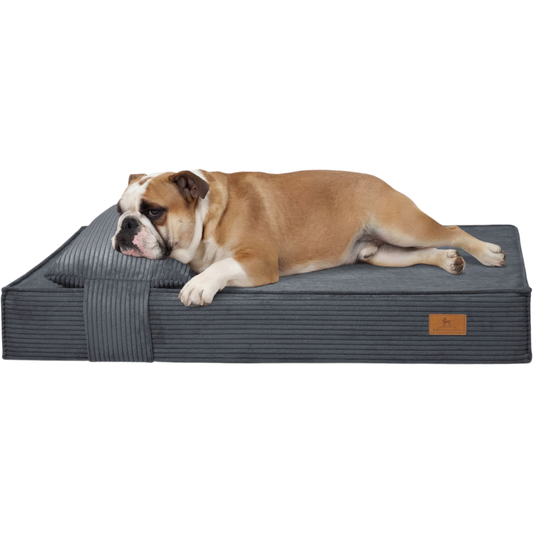 Knuffelwuff - Orthopädisches Hundebett Soleya