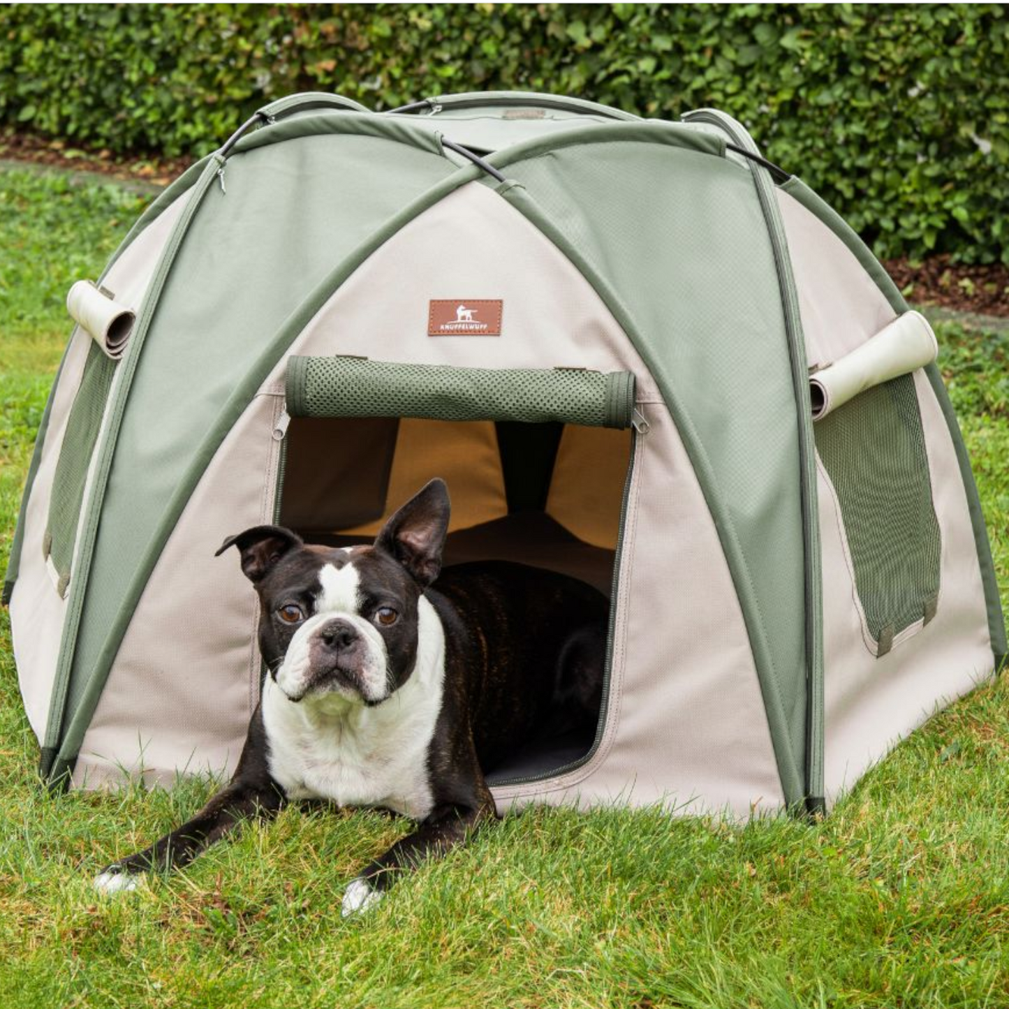 Knuffelwuff - Outdoor Hundezelt
