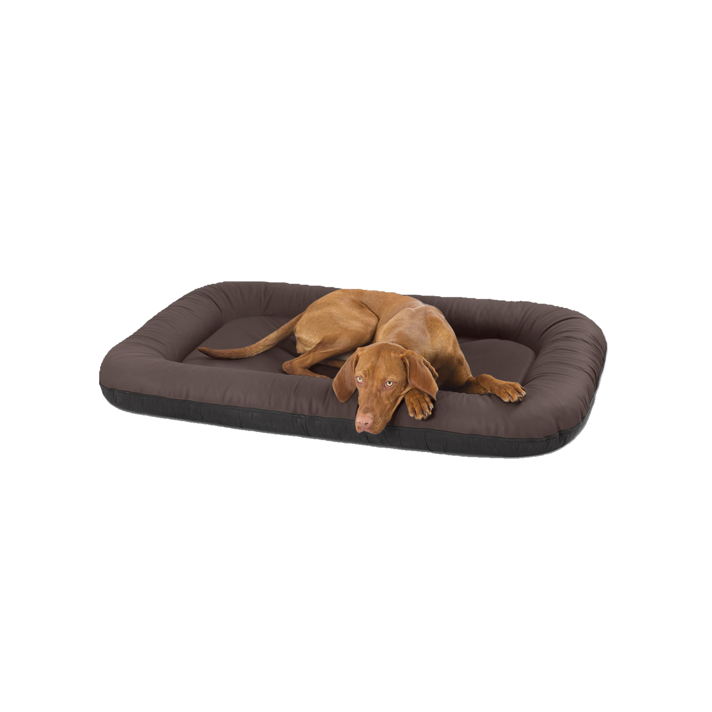 Knuffelwuff Kunstleder Hundebett Jerry