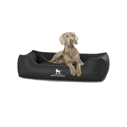 Knuffelwuff Kunstleder Hundebett Sidney – robust, bequem & pflegeleicht