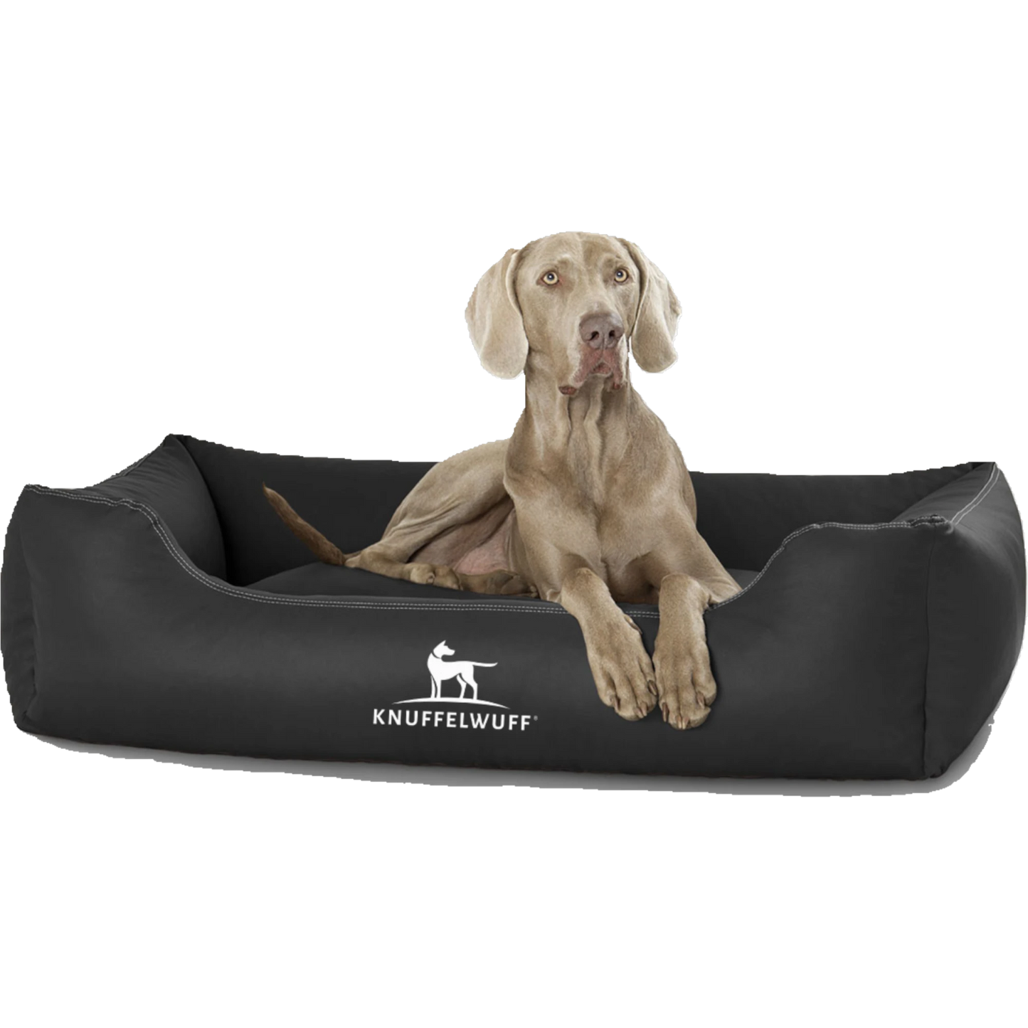 Knuffelwuff Kunstleder Hundebett Sidney – robust, bequem & pflegeleicht