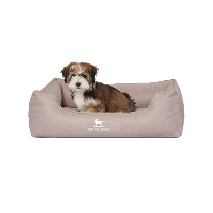 Knuffelwuff Orthopädisches Hundebett Luisa aus Velours mit feinem Handwebcharakter – Sunshine Edition