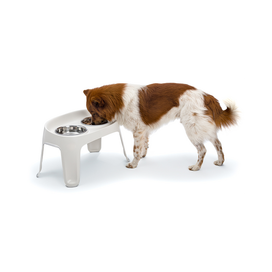 Knuffelwuff Highbar Futterstation Weiß – Komfortabel, stilvoll und funktional für deinen Hund!